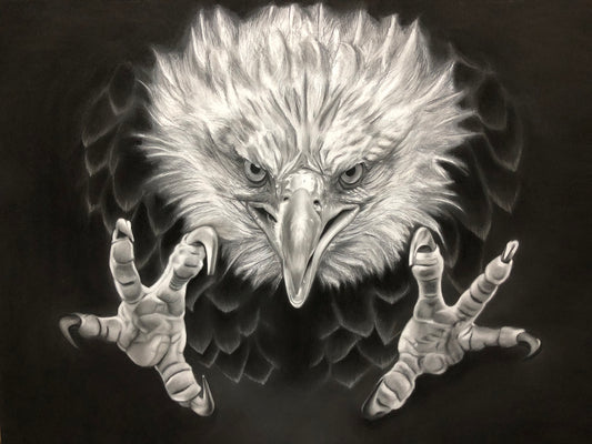 Bald Eagle - Sky Sovereign's Strike