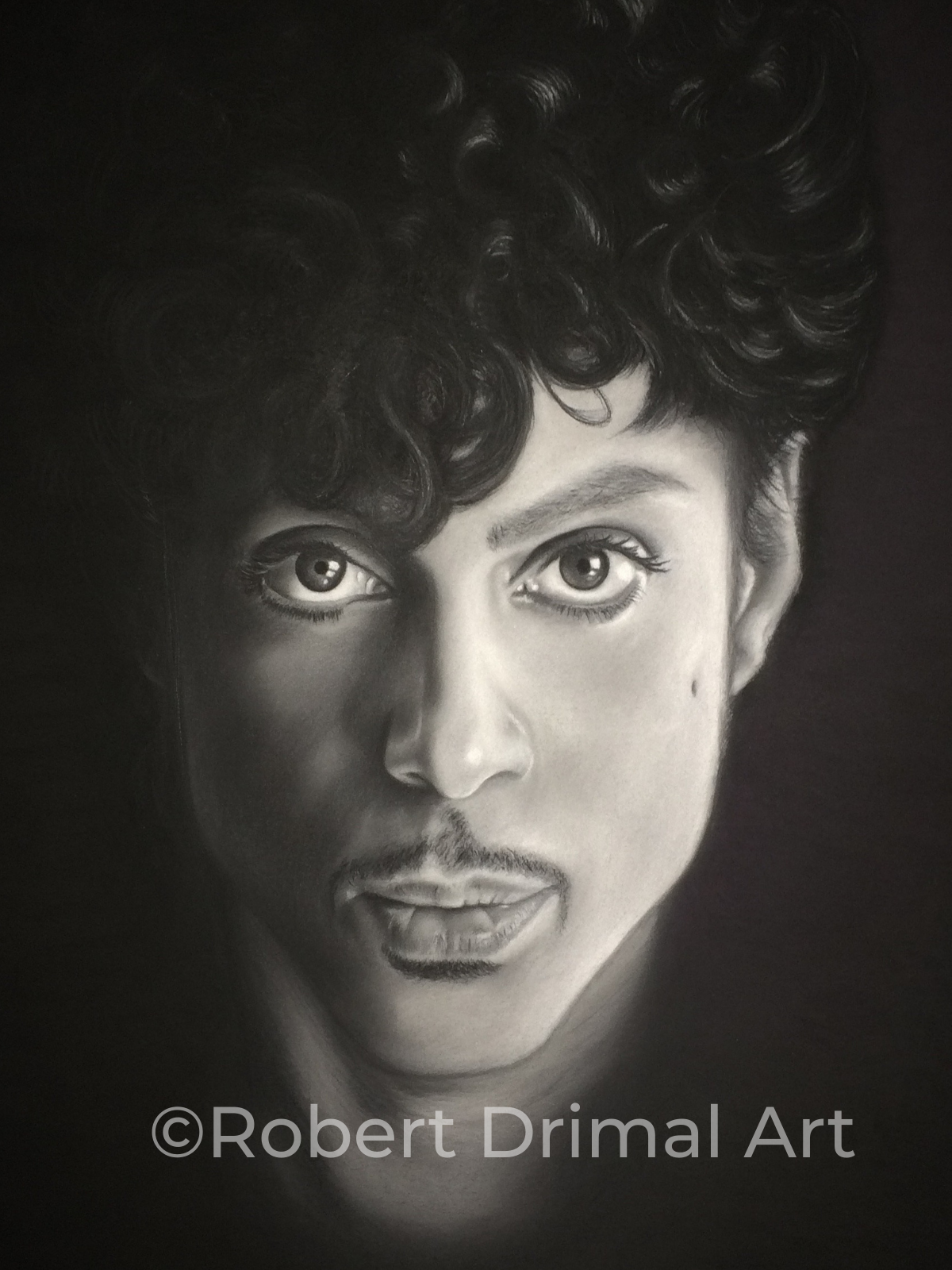 Prince Rogers Nelson